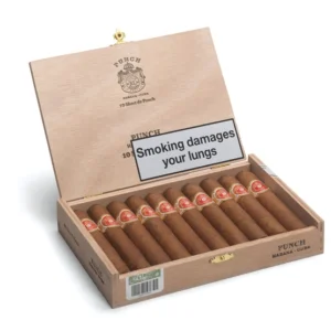 Punch Short de Punch Cigar – Box of 10